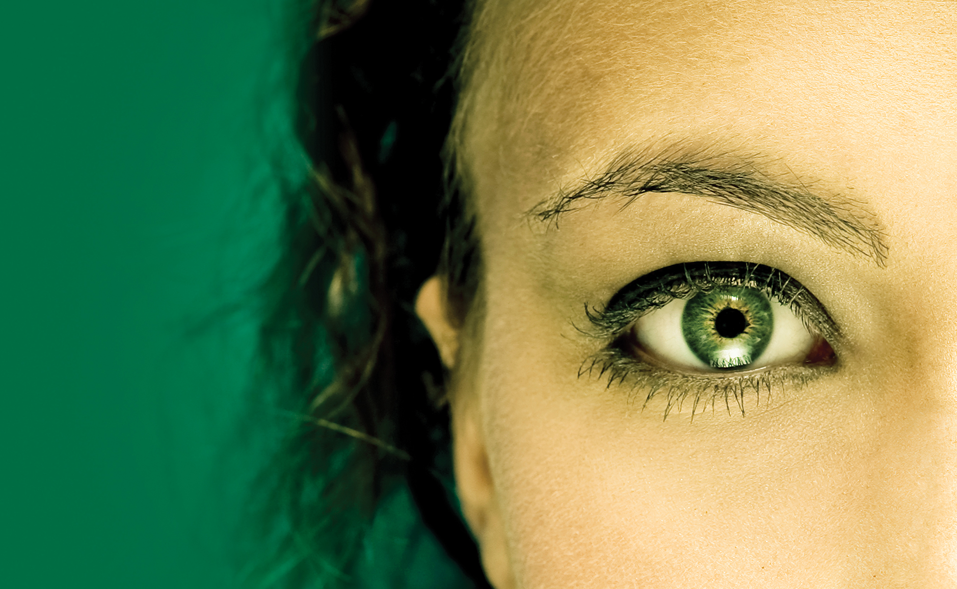 CGI Advertising / Coordinated Graphics - White Plains, NY - Westchester - An advertising agency and graphic design company specializing in traditional advertising, digital advertising and marketing, website design, SEO, PPC, brochures, collateral material